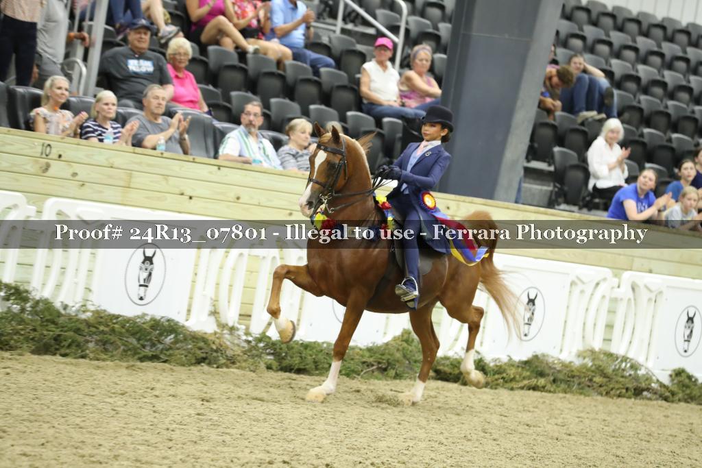 Proof Number 24R13_07801