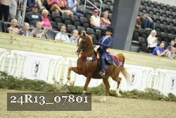 24R13_07801 thumbnail