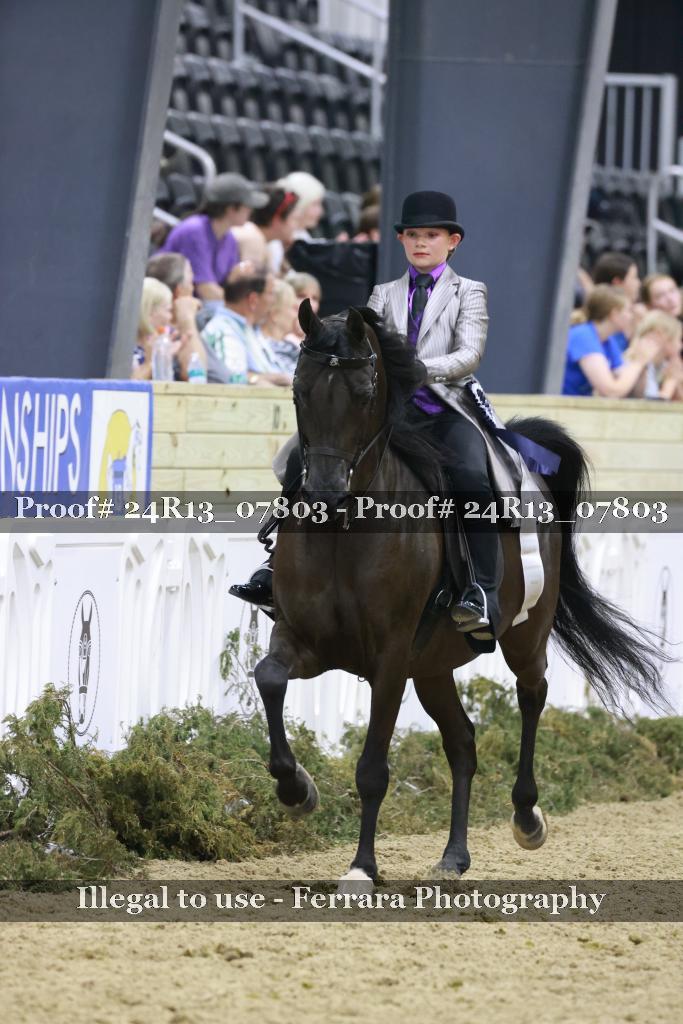 Proof Number 24R13_07803