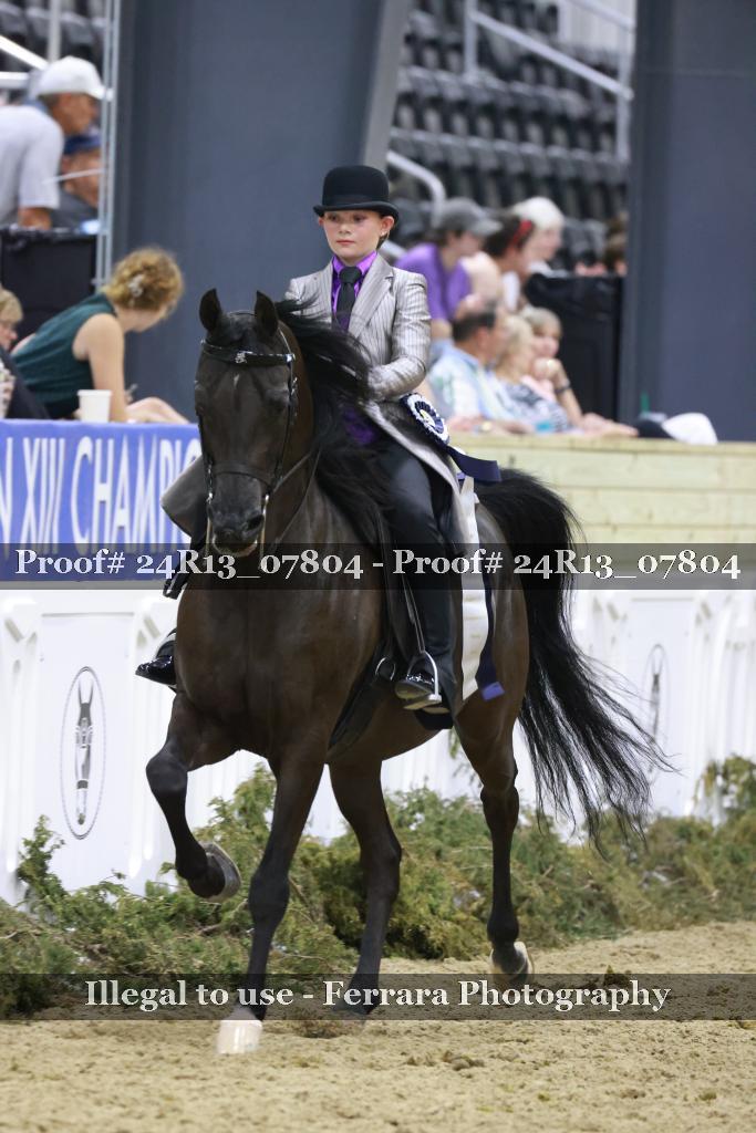 Proof Number 24R13_07804