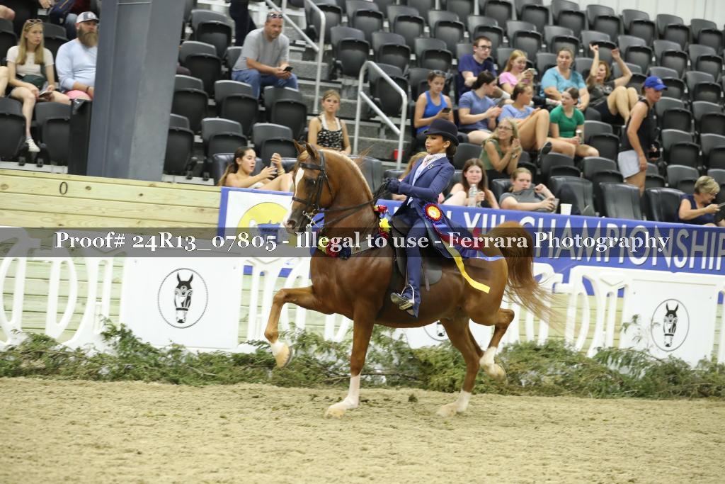 Proof Number 24R13_07805