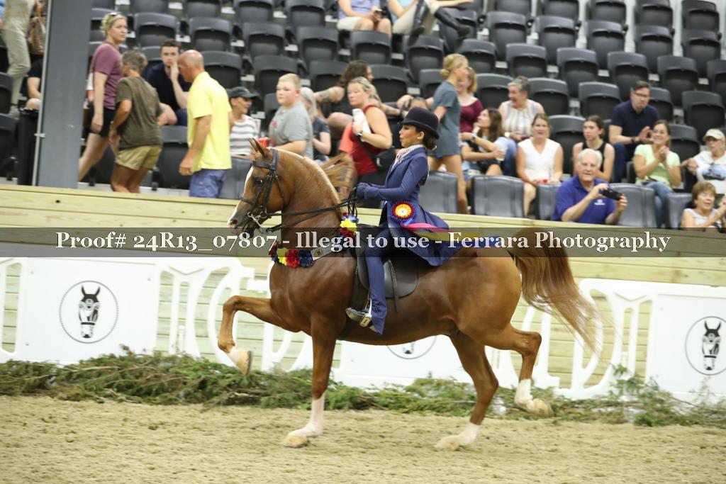 Proof Number 24R13_07807