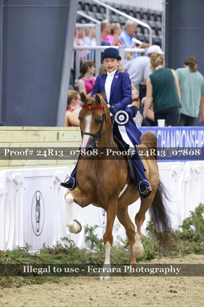 Proof Number 24R13_07808