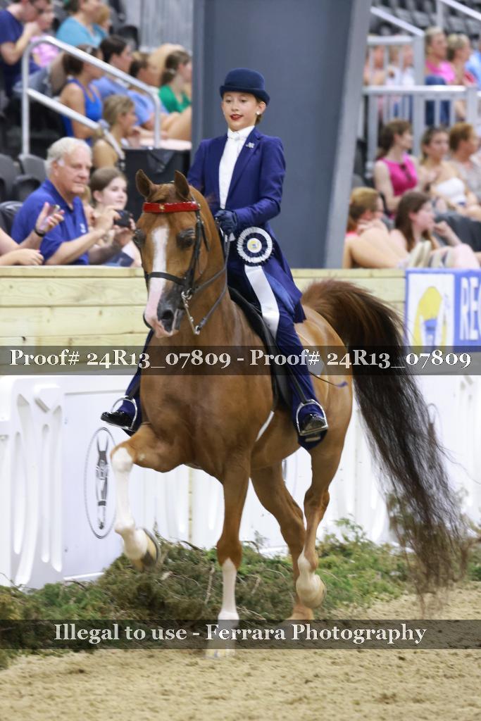 Proof Number 24R13_07809
