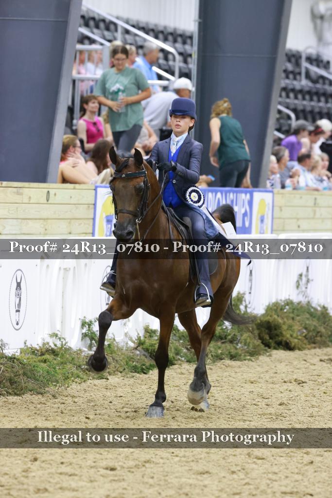 Proof Number 24R13_07810