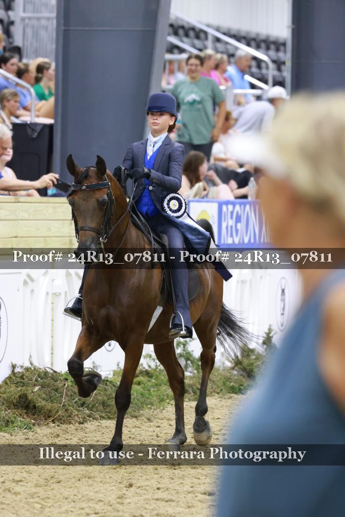 Proof Number 24R13_07811