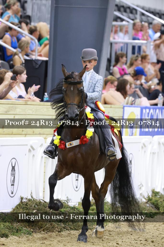 Proof Number 24R13_07814