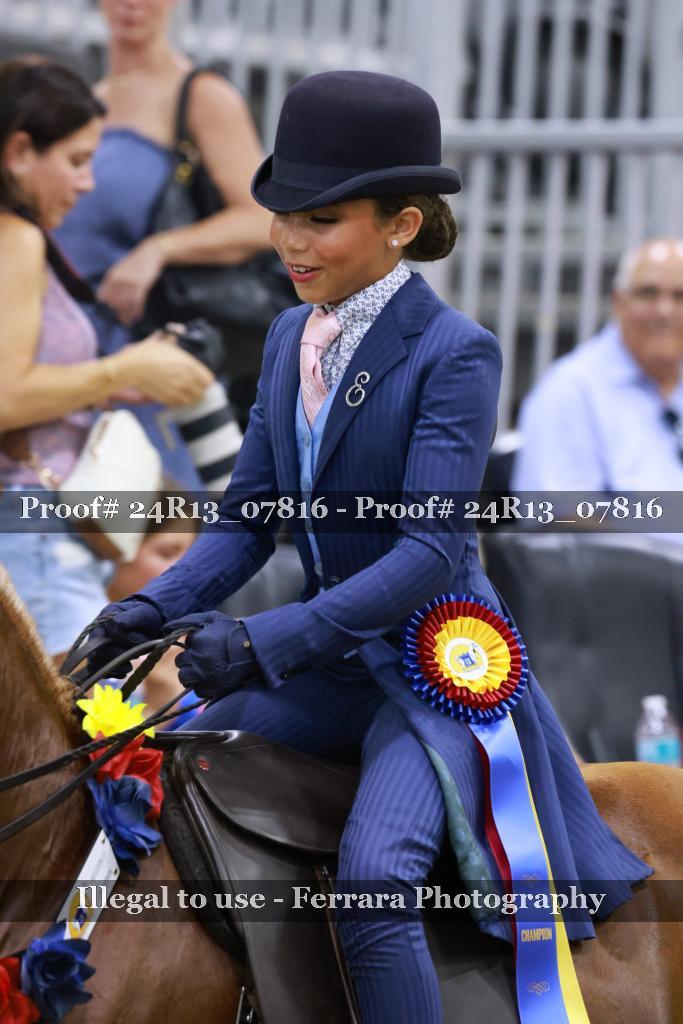 Proof Number 24R13_07816