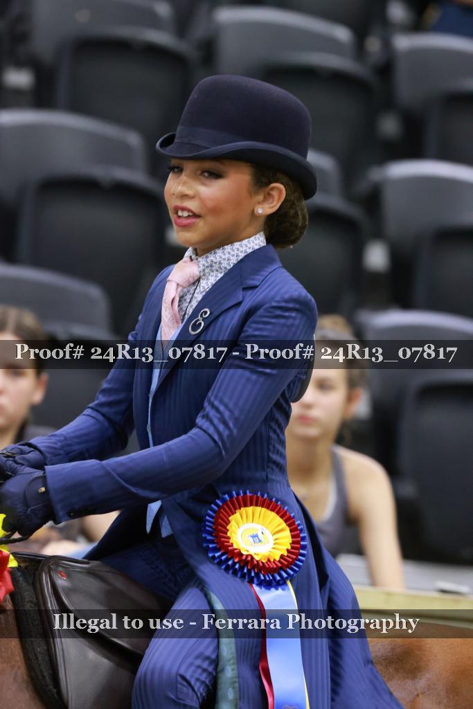 Proof Number 24R13_07817