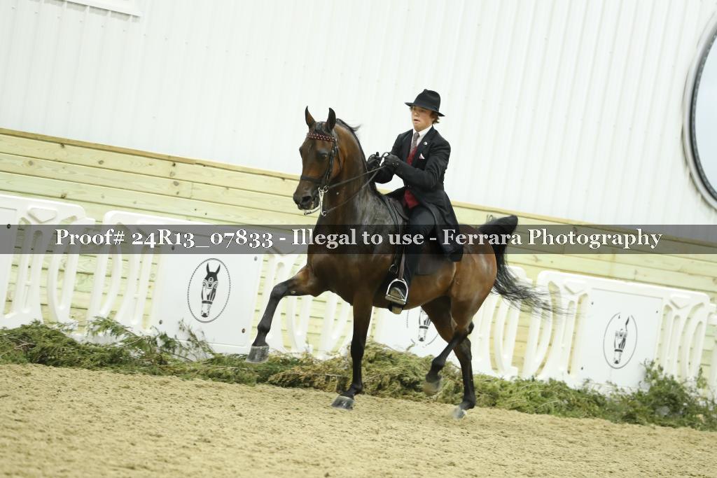 Proof Number 24R13_07833