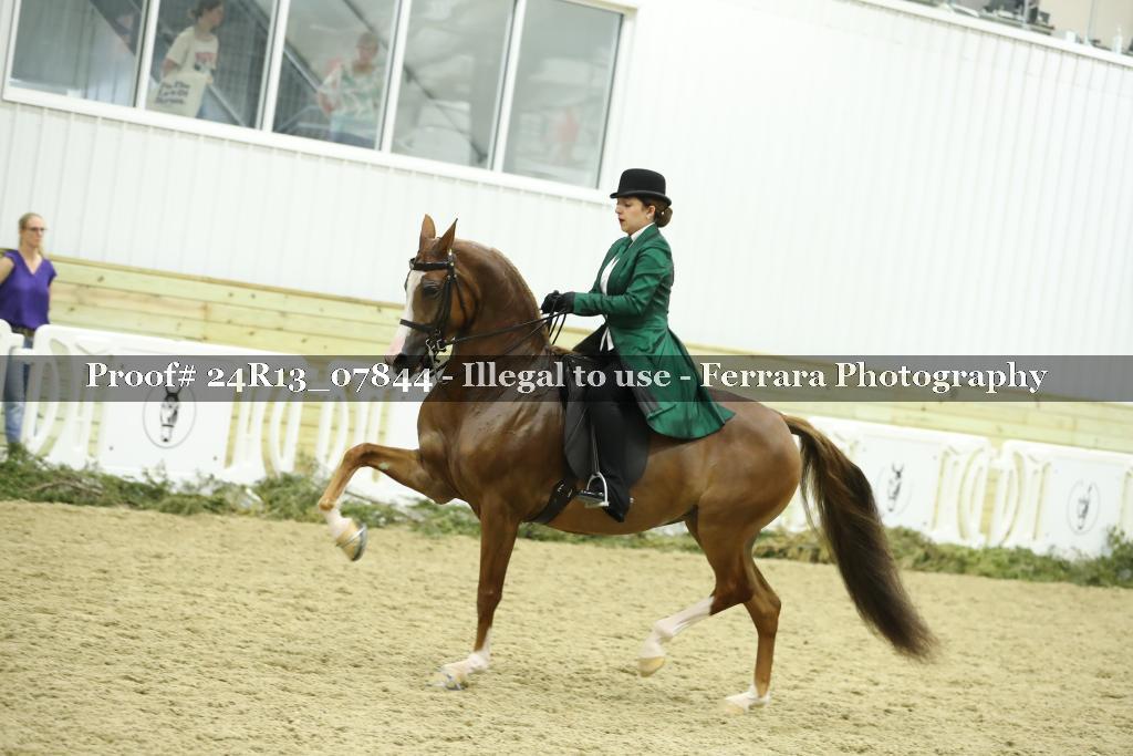 Proof Number 24R13_07844