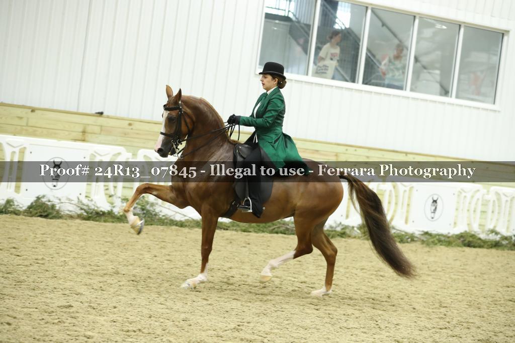 Proof Number 24R13_07845