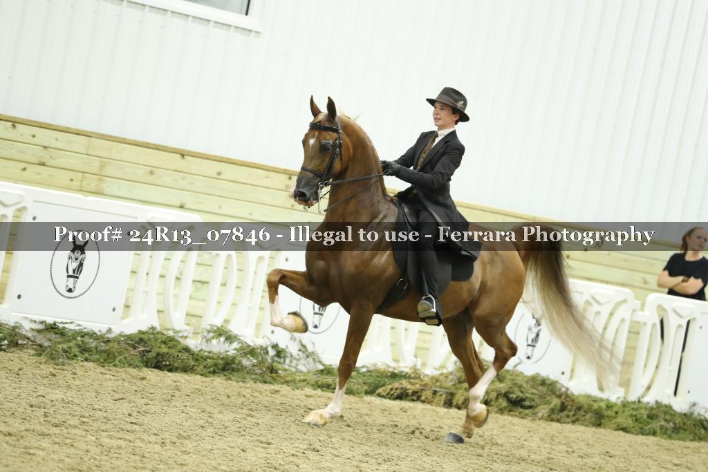 Proof Number 24R13_07846