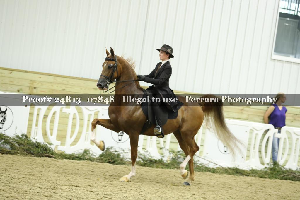 Proof Number 24R13_07848