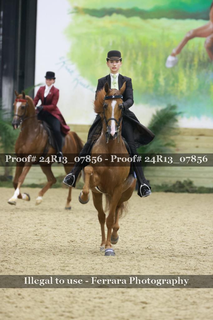 Proof Number 24R13_07856