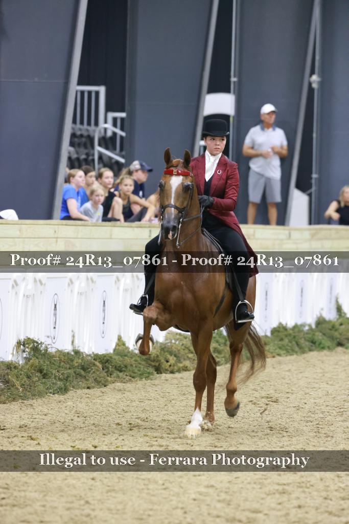 Proof Number 24R13_07861