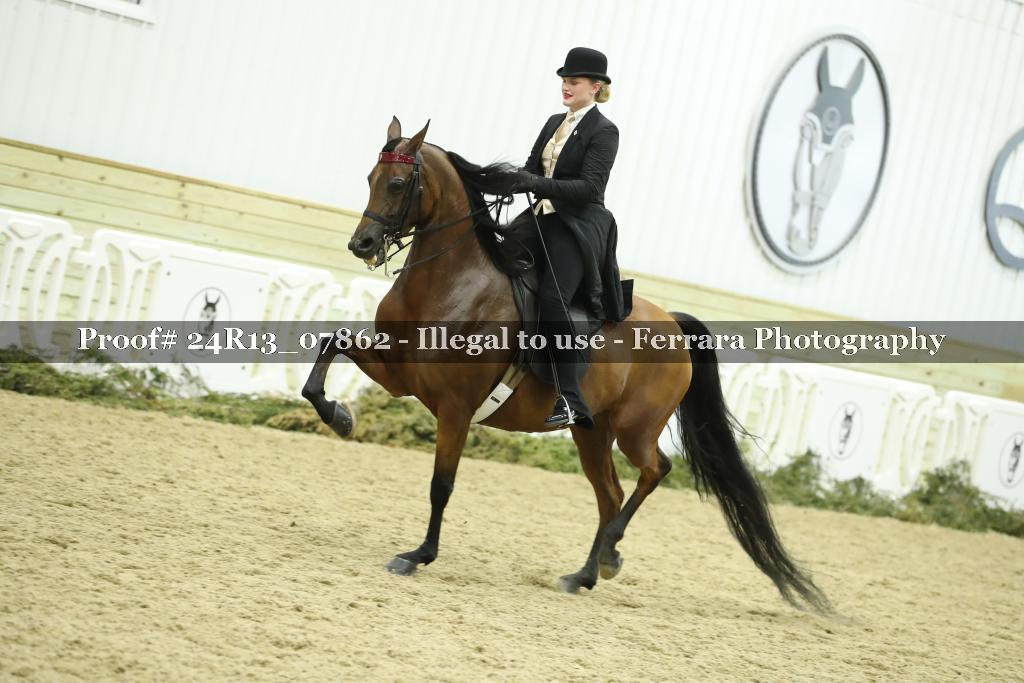 Proof Number 24R13_07862