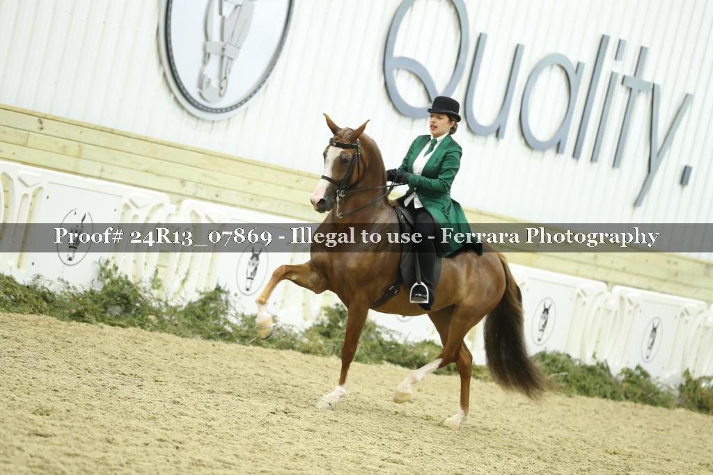 Proof Number 24R13_07869