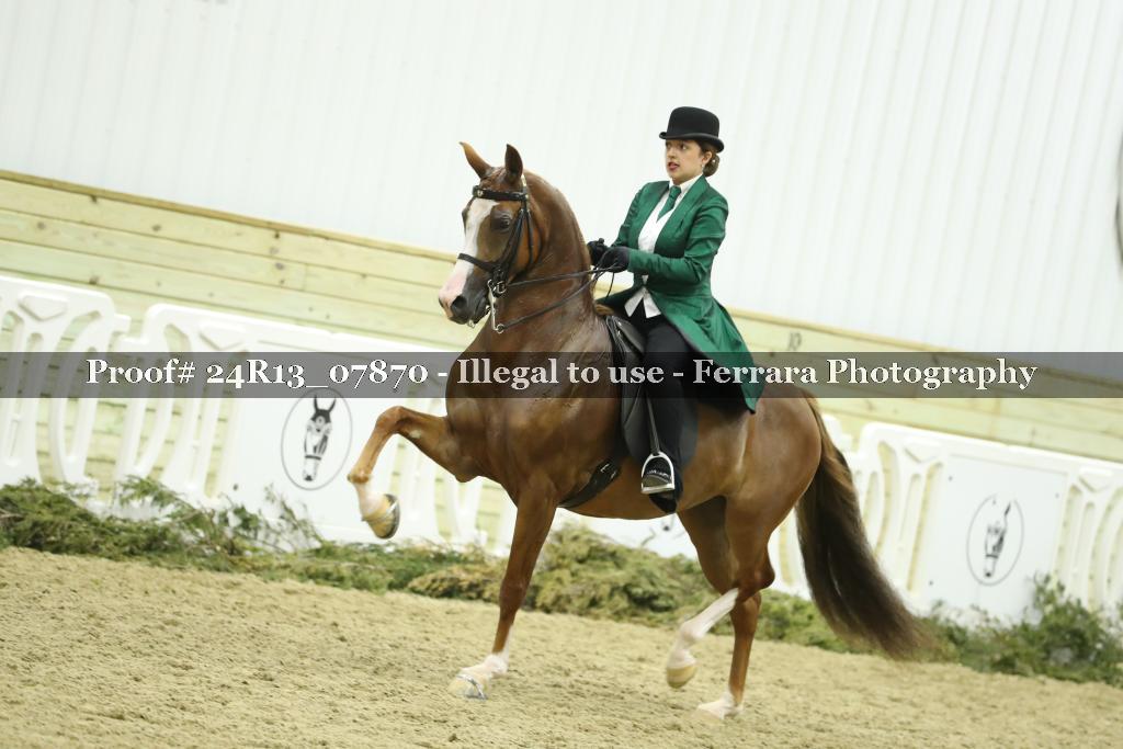 Proof Number 24R13_07870