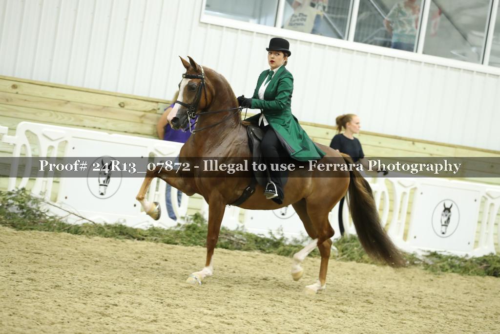 Proof Number 24R13_07872