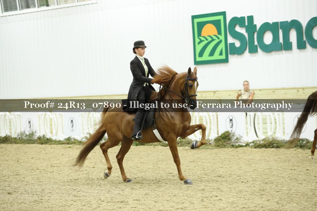 Proof Number 24R13_07890
