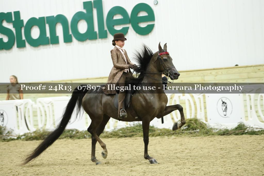 Proof Number 24R13_07897