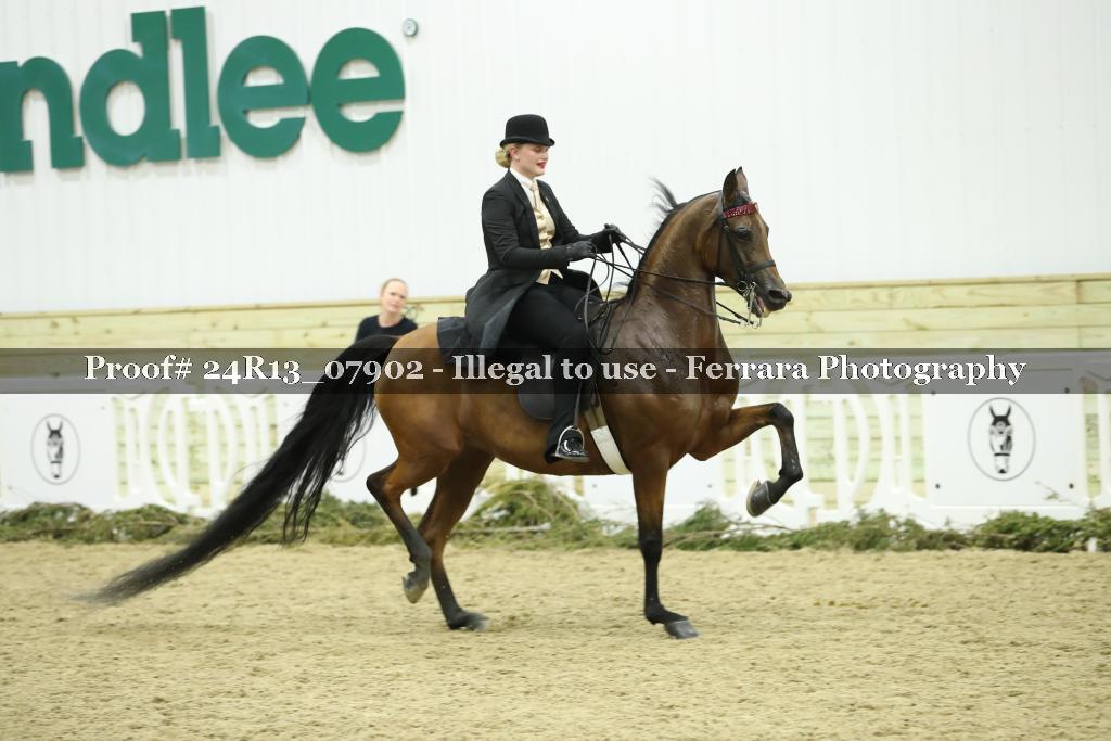 Proof Number 24R13_07902
