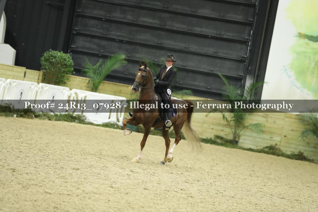 Proof Number 24R13_07928