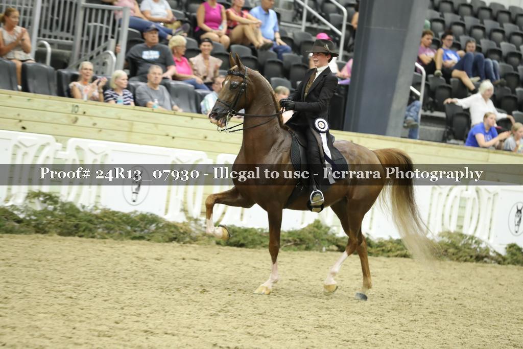 Proof Number 24R13_07930