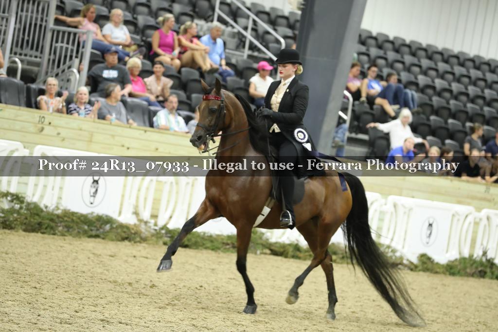 Proof Number 24R13_07933
