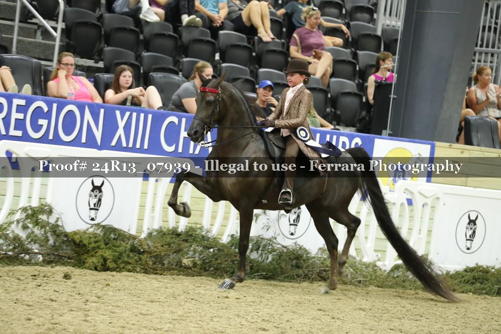 Proof Number 24R13_07939