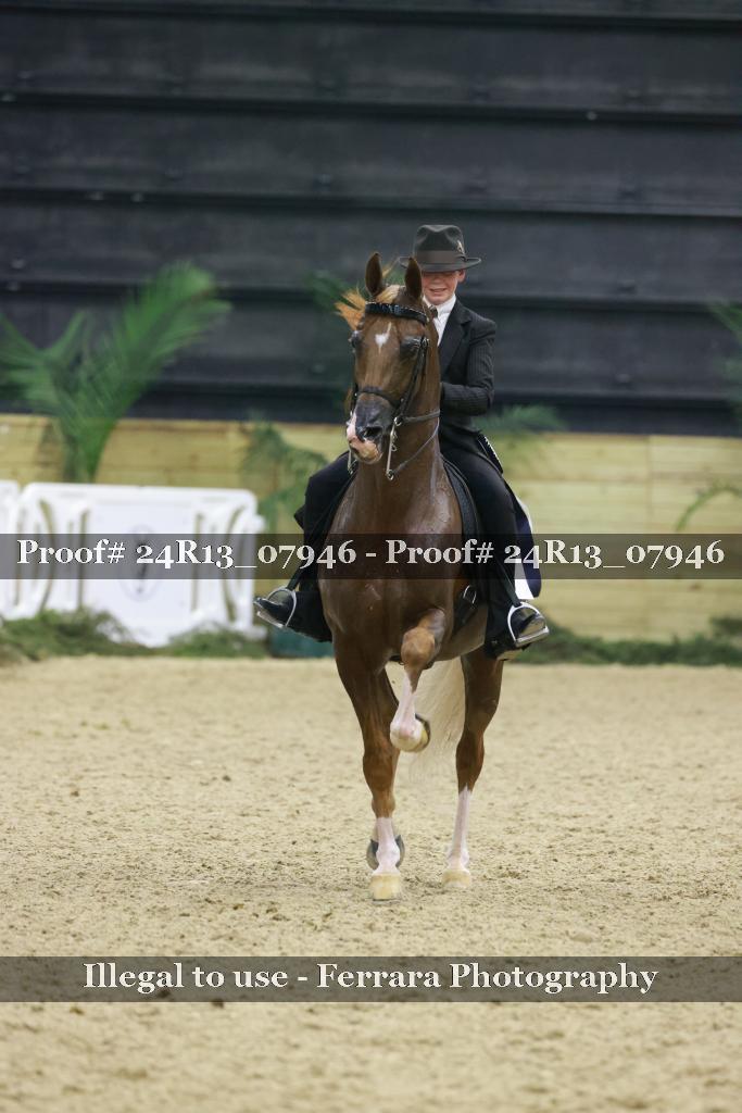 Proof Number 24R13_07946