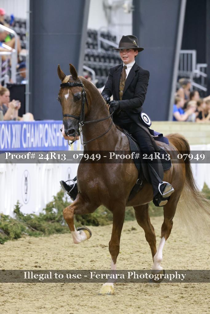 Proof Number 24R13_07949