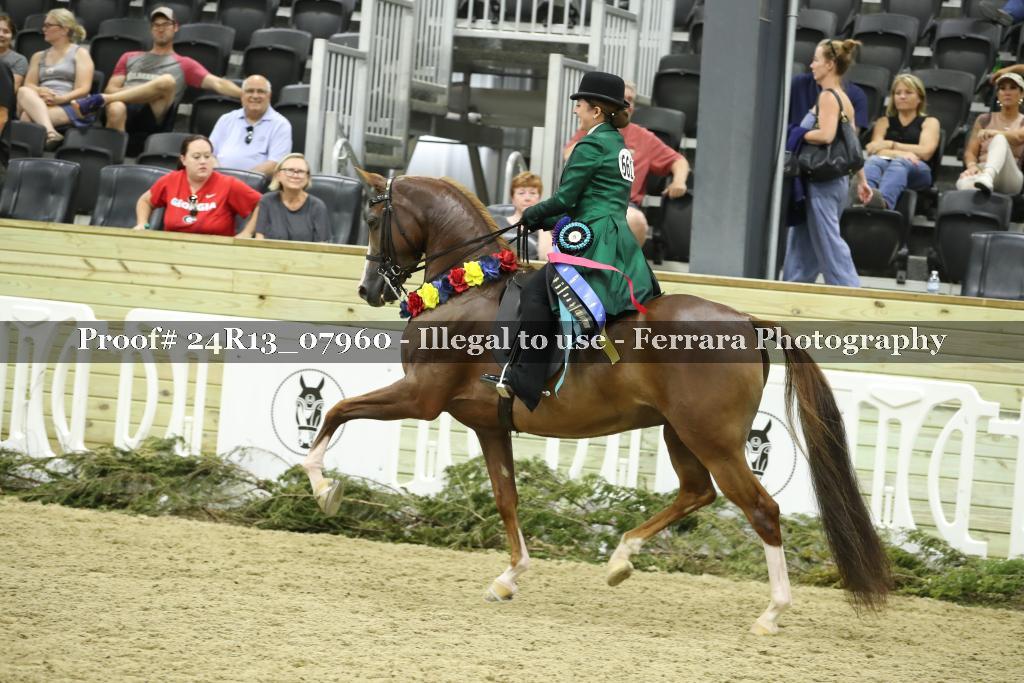 Proof Number 24R13_07960