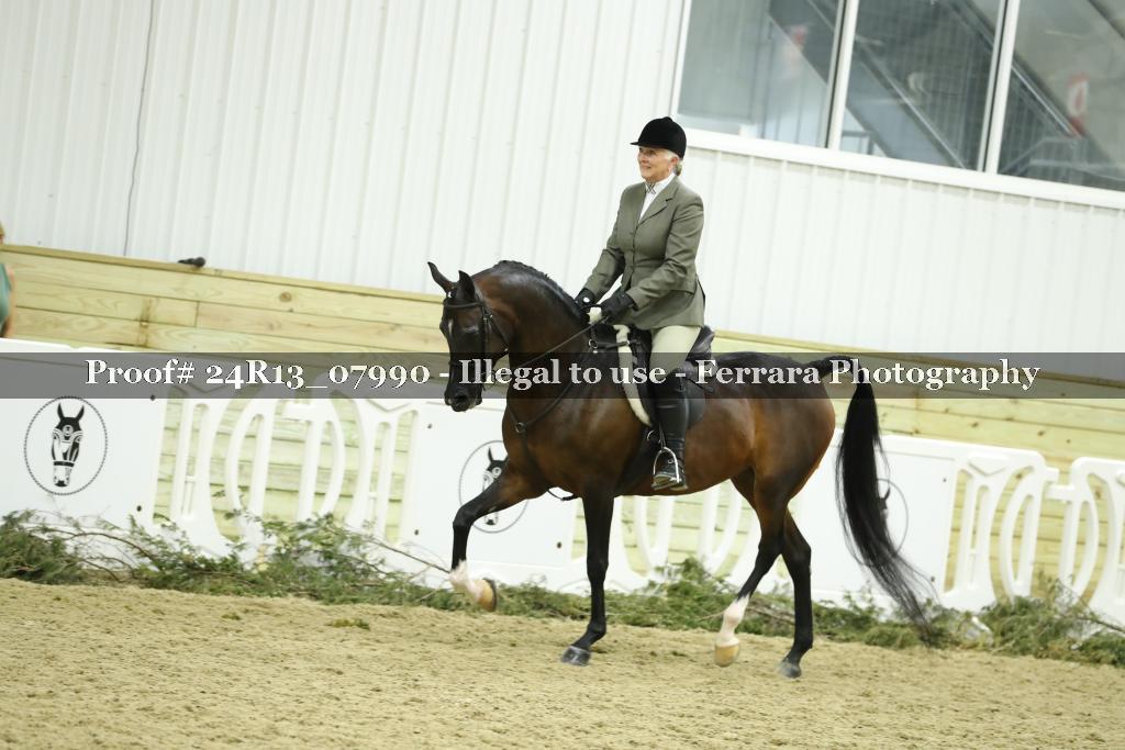 Proof Number 24R13_07990