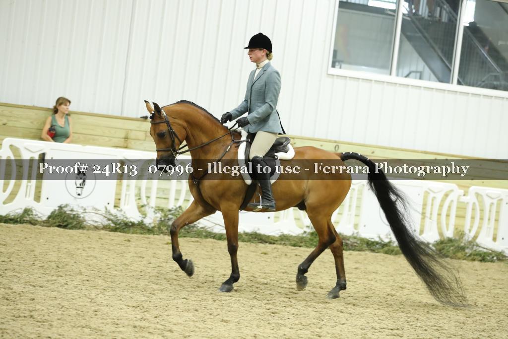 Proof Number 24R13_07996