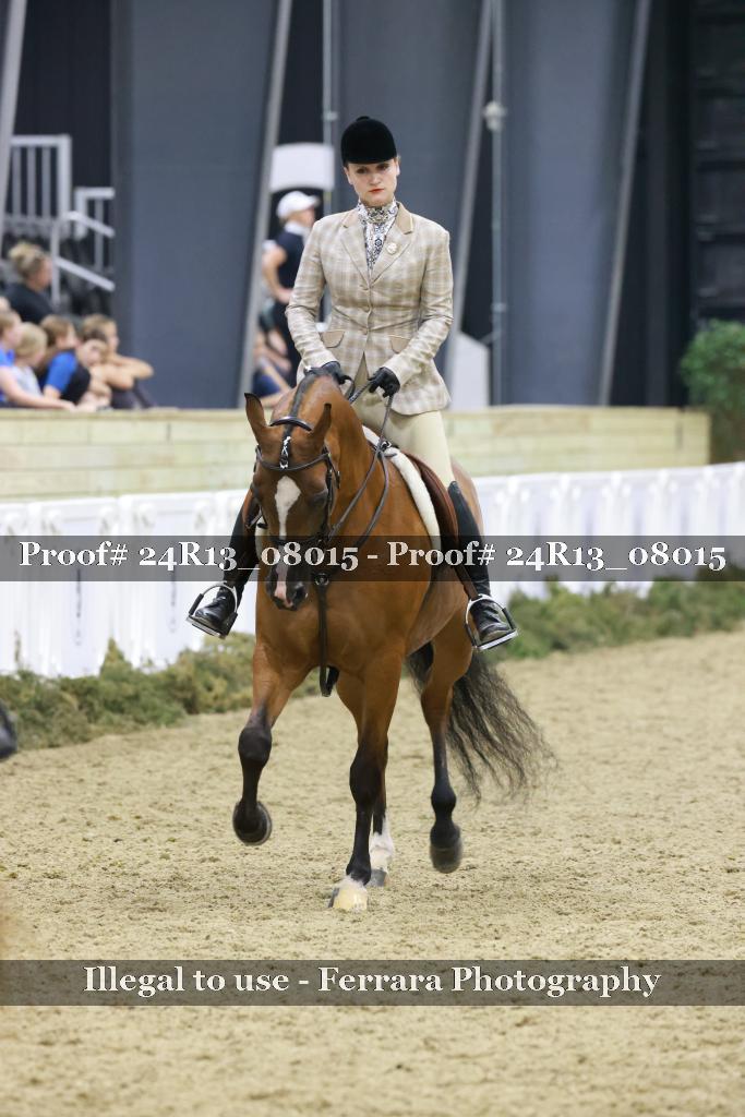 Proof Number 24R13_08015
