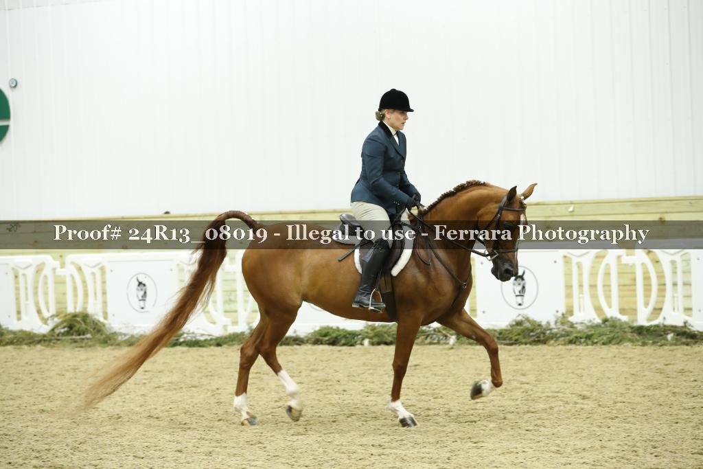 Proof Number 24R13_08019