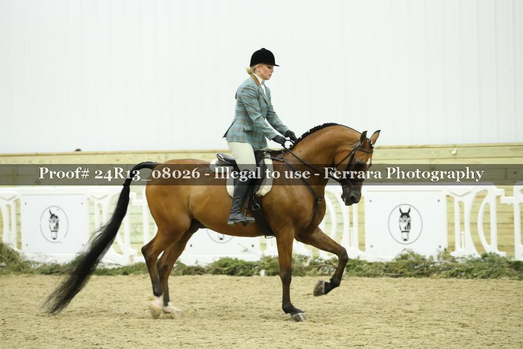 Proof Number 24R13_08026