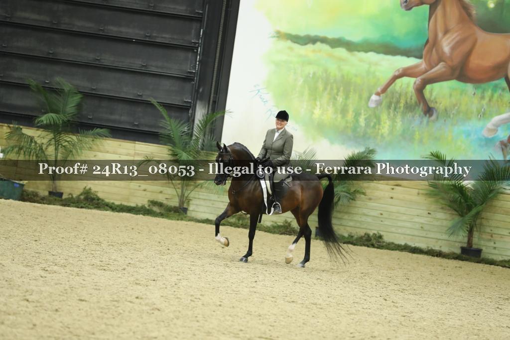 Proof Number 24R13_08053