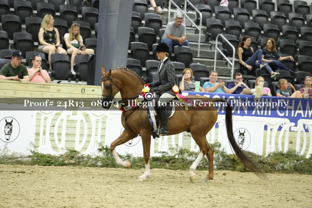 Proof Number 24R13_08074