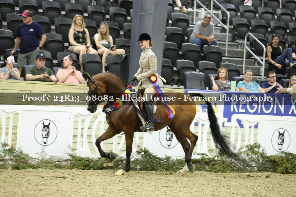 Proof Number 24R13_08082