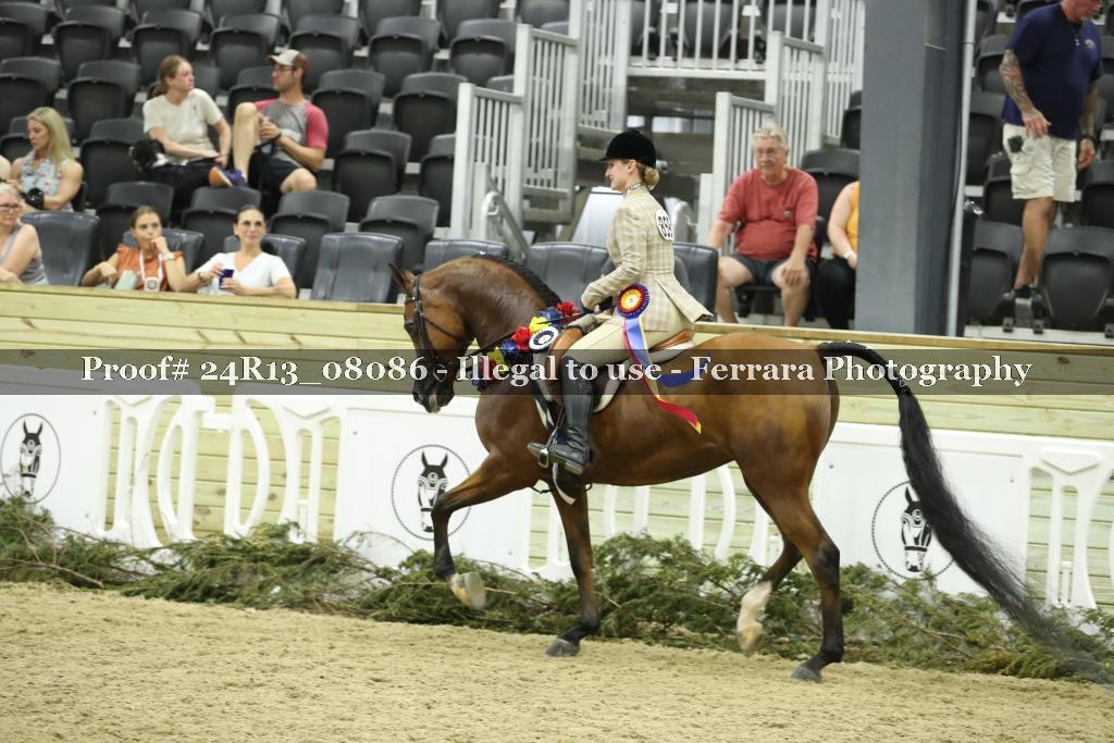 Proof Number 24R13_08086