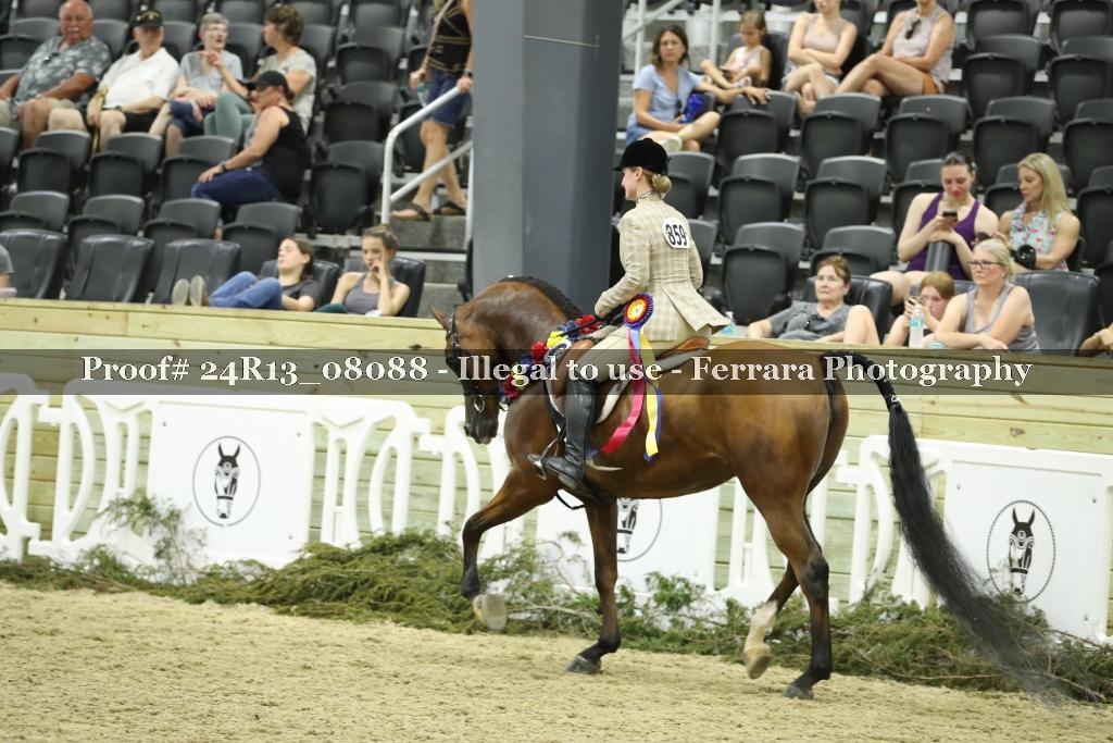 Proof Number 24R13_08088