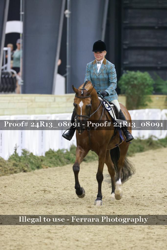 Proof Number 24R13_08091