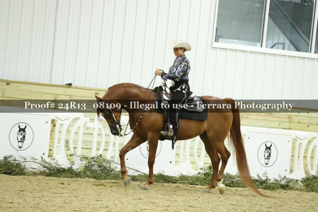 Proof Number 24R13_08109