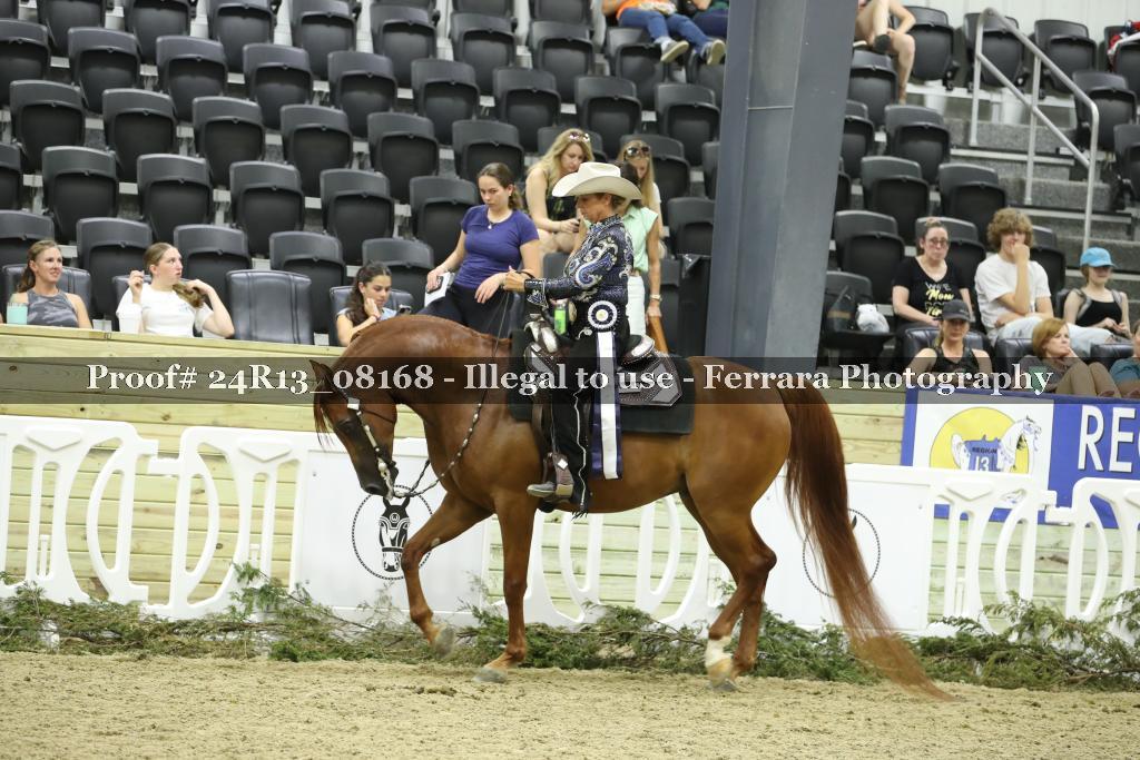 Proof Number 24R13_08168