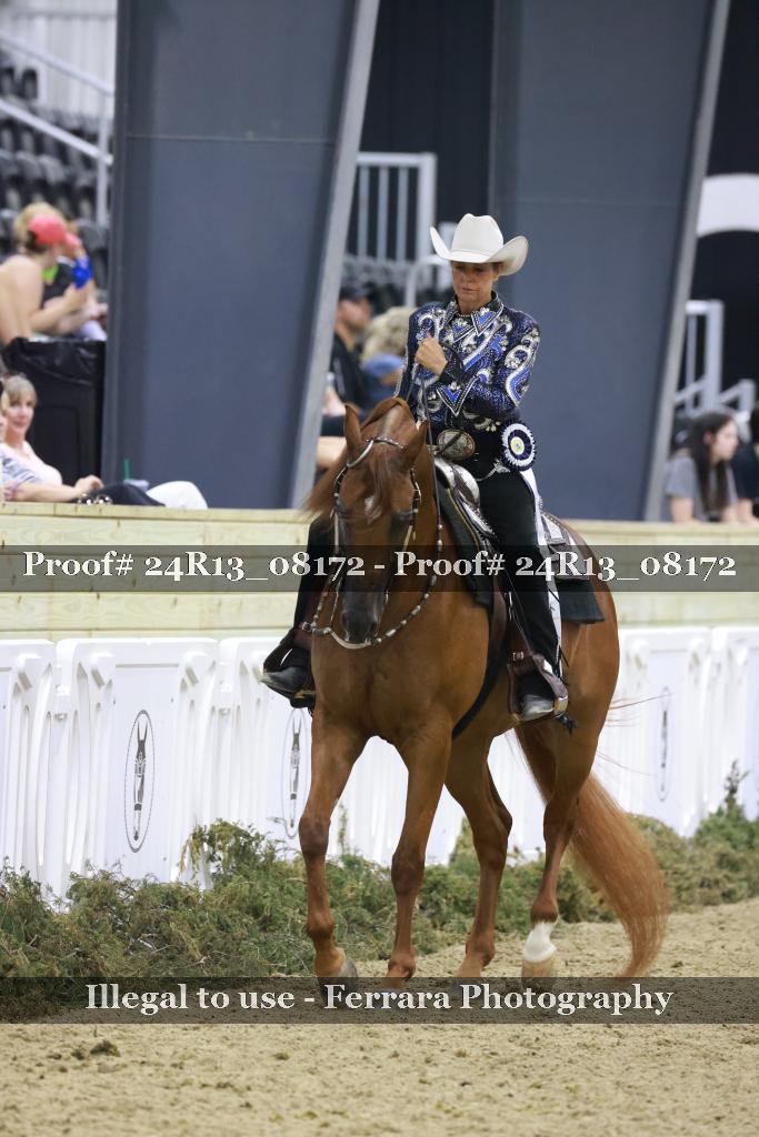 Proof Number 24R13_08172
