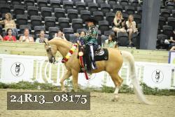 24R13_08175 thumbnail