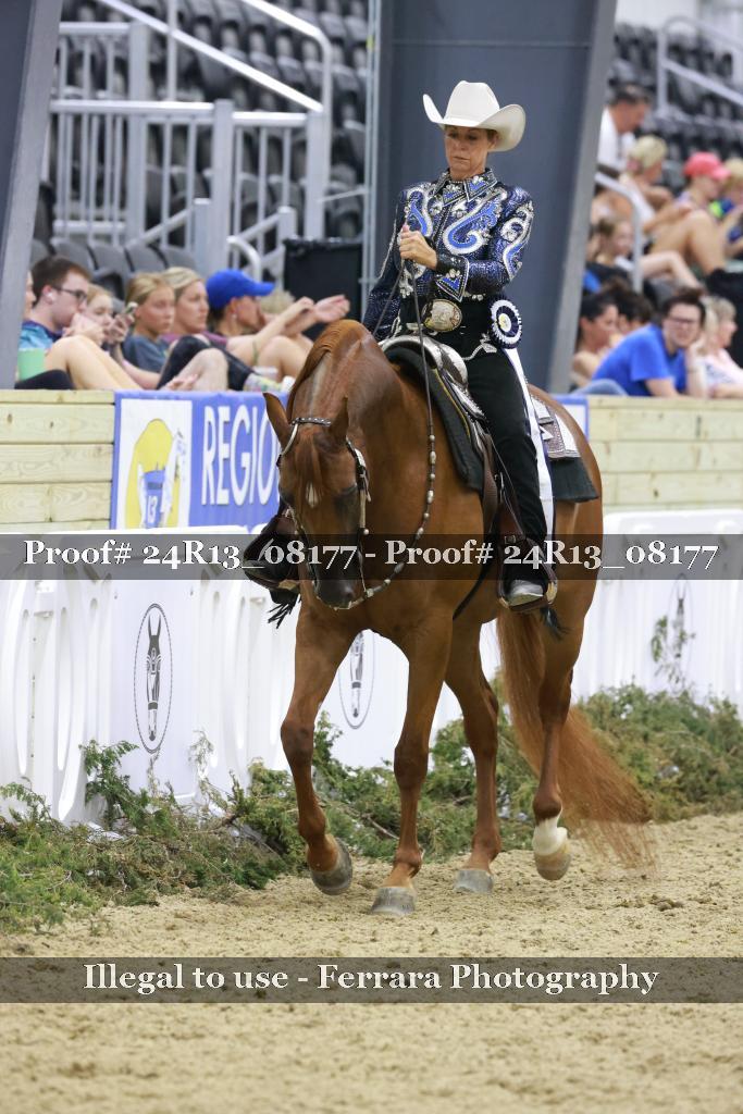 Proof Number 24R13_08177